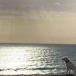 Casa 77, La Playa Mas Bonita A 150 Metros * Conil De La Frontera
