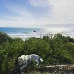 Casa 77, La Playa Mas Bonita A 150 Metros * Conil De La Frontera