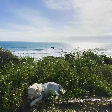 Casa 77, La Playa Más Bonita A 150 Metros * Conil De La Frontera