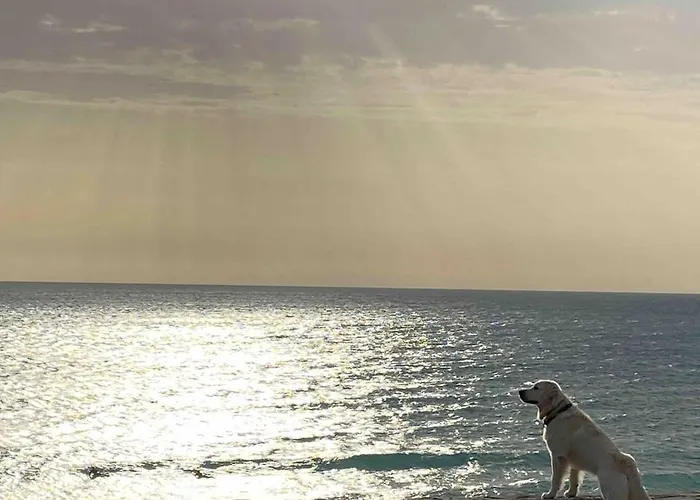 Casa 77, La Playa Más Bonita A 150 Metros * Conil De La Frontera