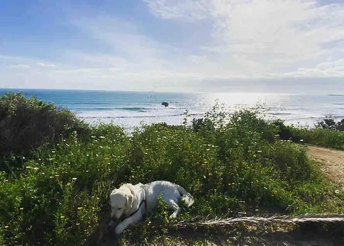 Casa 77, La Playa Mas Bonita A 150 Metros * Conil De La Frontera