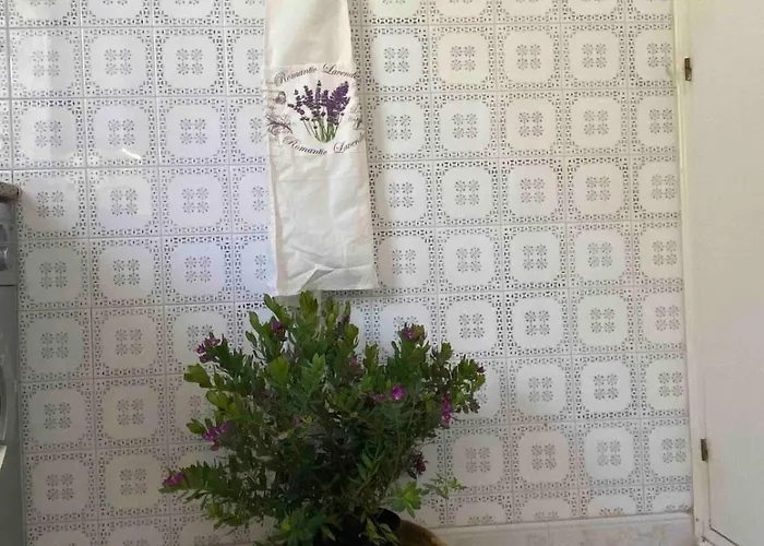 Casa 77, La Playa Mas Bonita A 150 Metros Holiday home Conil De La Frontera