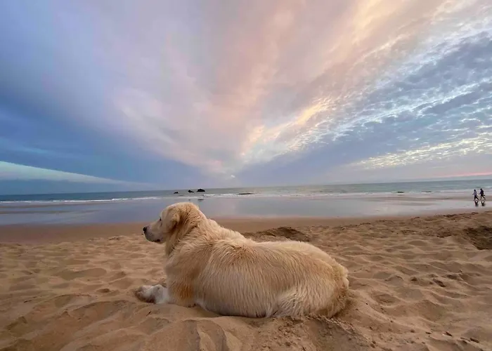 Сasa de vacaciones Casa 77, La Playa Más Bonita A 150 Metros Conil De La Frontera