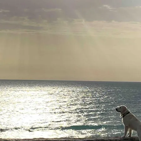 Casa 77, La Playa Mas Bonita A 150 Metros * Conil De La Frontera