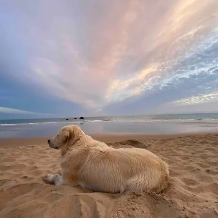Prázdninový dům Casa 77, La Playa Mas Bonita A 150 Metros Conil De La Frontera